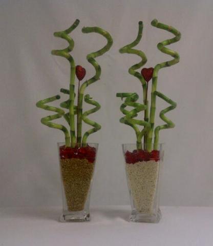 5pc30cmCurlyglass.jpg
