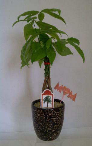 peu_20120503_72.jpg